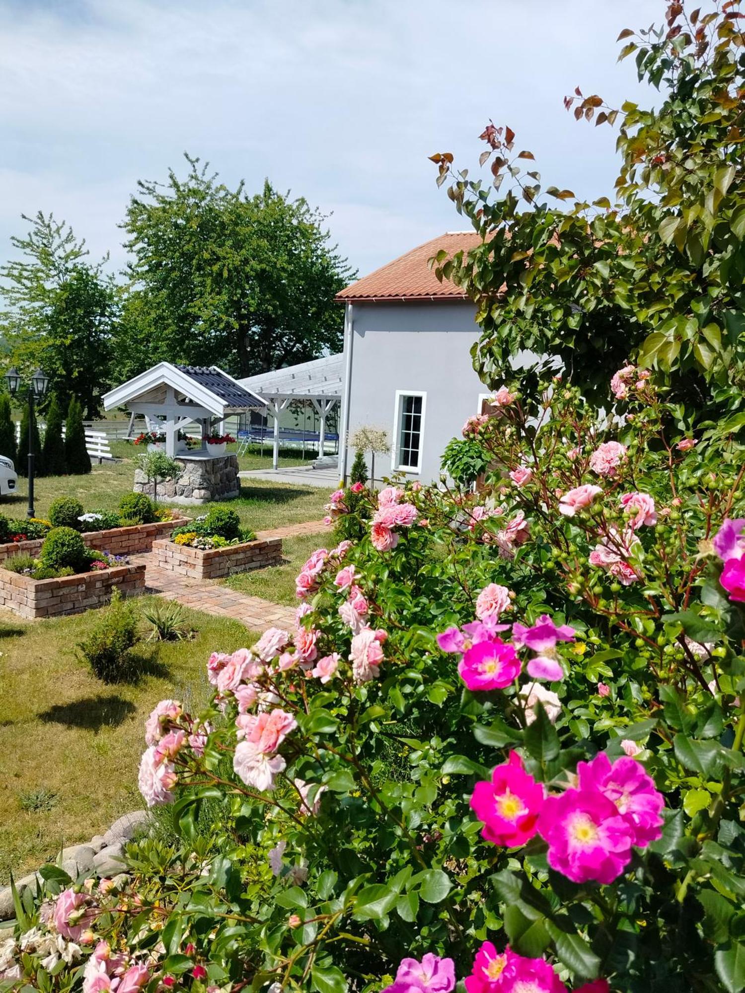 Agroturystyka Rybno Rybno  Esterno foto